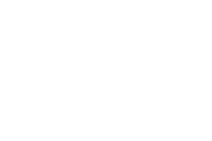 alenice-parceiro-emy.png
